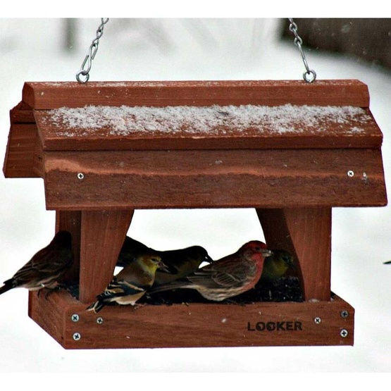 Fly Thru Barn Bird Feeder