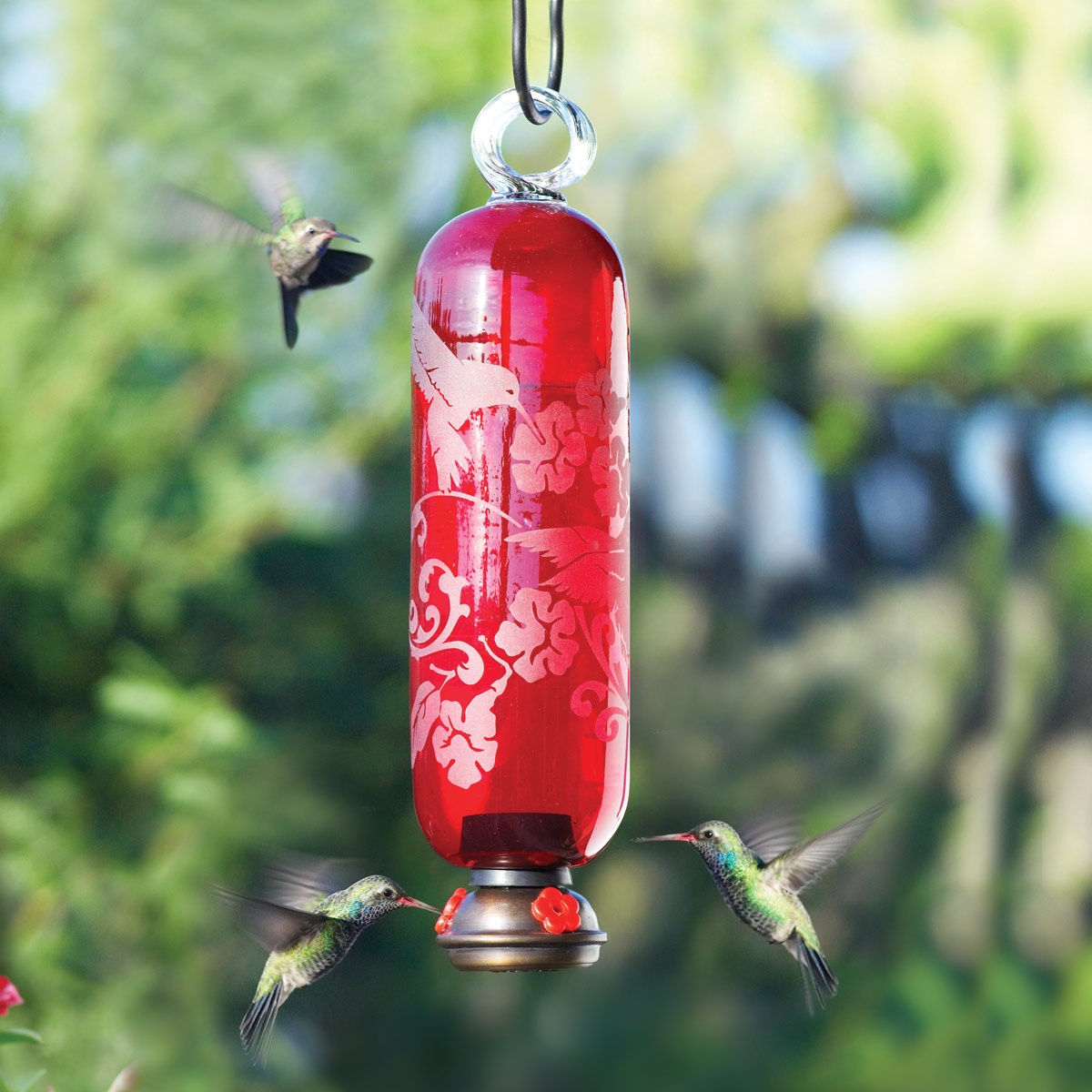 Filigree Glass Hummingbird Feeder - Yard Envy