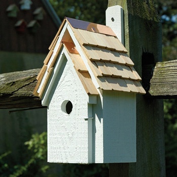 Bluebird Manor House - Yard Envy