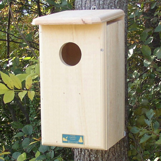 Kestrel Bird House - Yard Envy