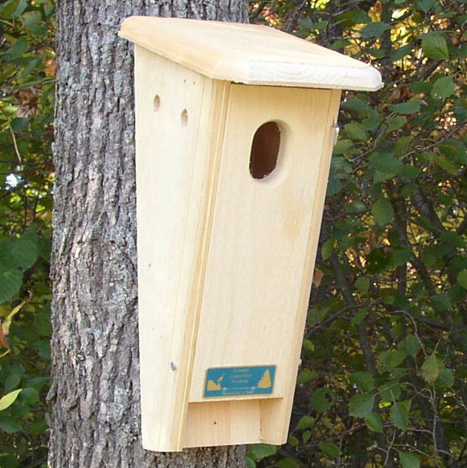 Slant Front Bluebird House - Yard Envy