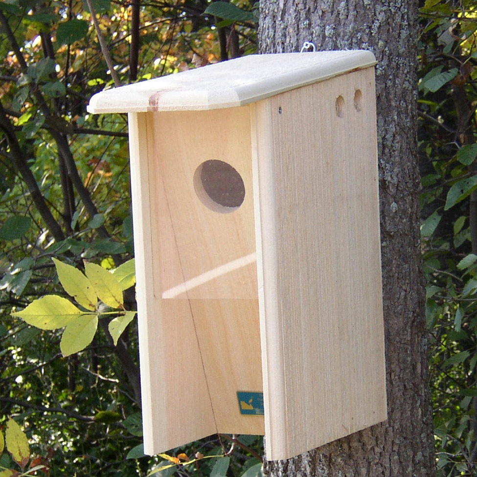 Starling-Resistant Flicker House - Yard Envy