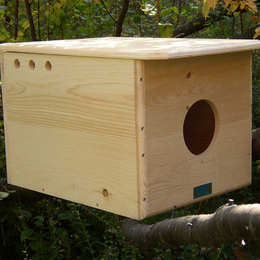 Barn Owl House - Yard Envy