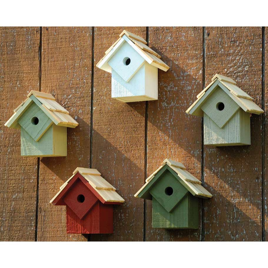 Summer Bird House Pre Pack - Yard Envy