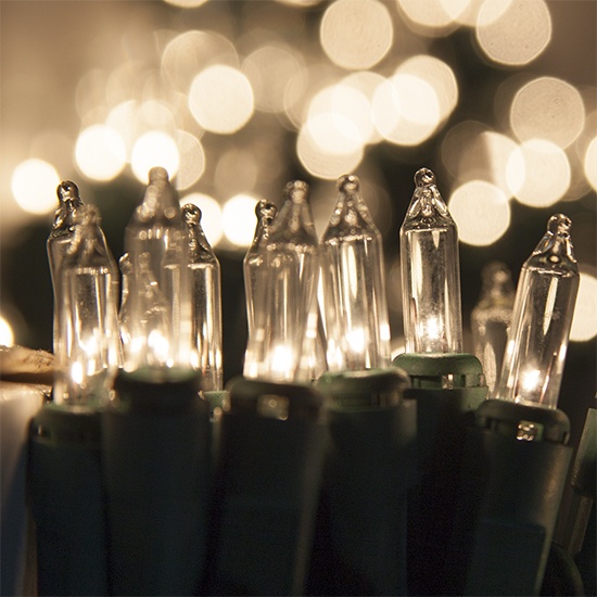 Standard Clear Mini String Lights - Yard Envy