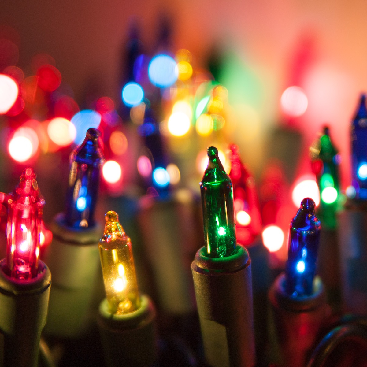 Standard Multicolor Mini String Lights - Yard Envy