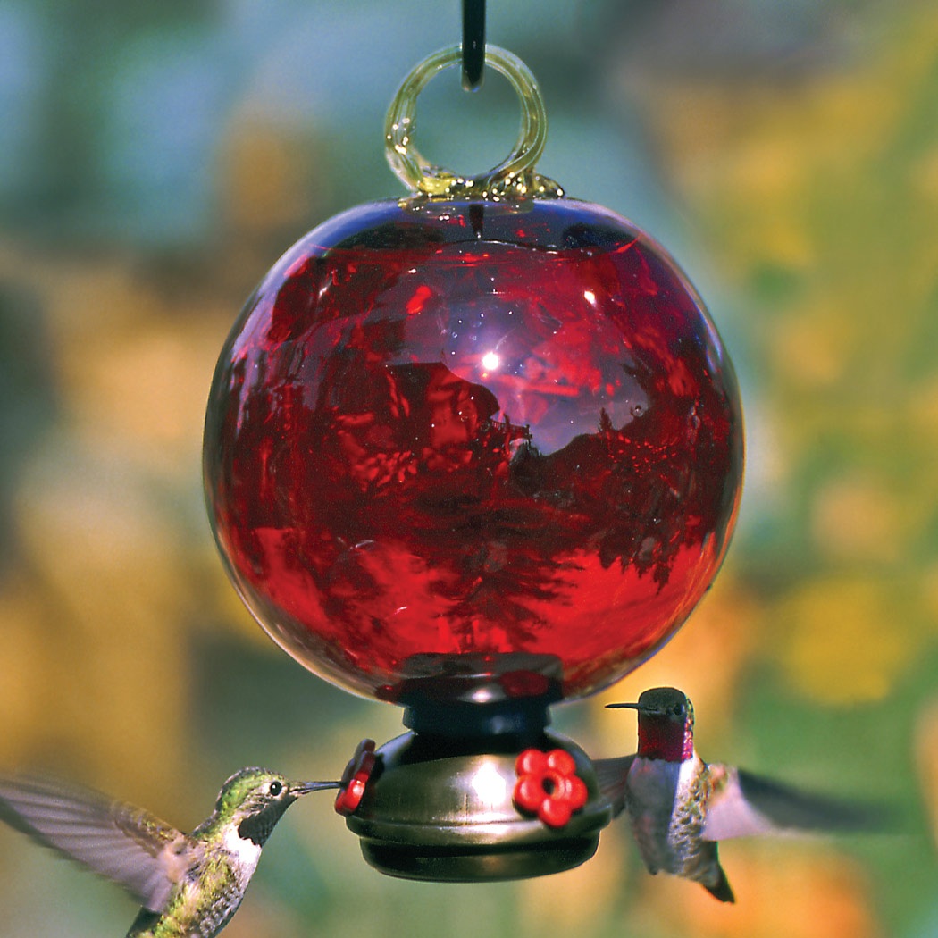 perchless hummingbird feeder