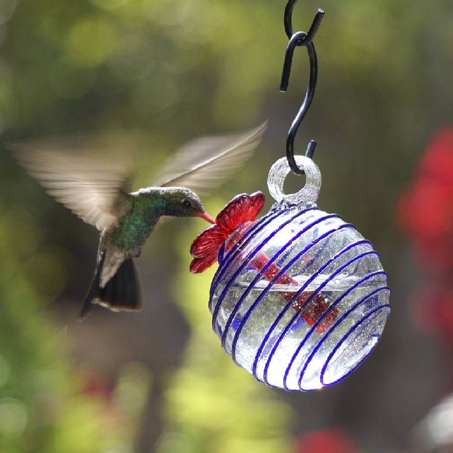 droplet hummingbird feeder