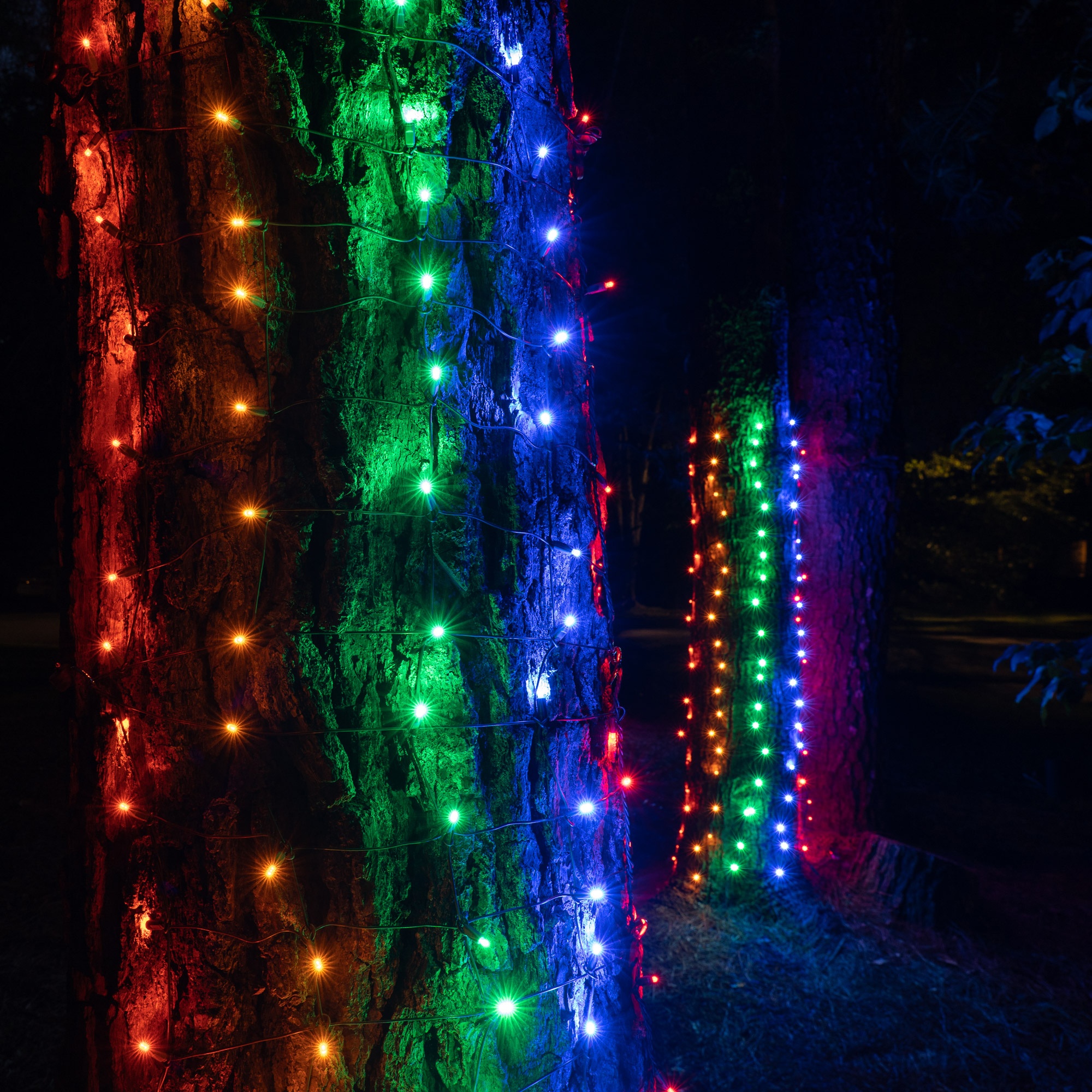 Wrap Lights Around Tree Trunk 