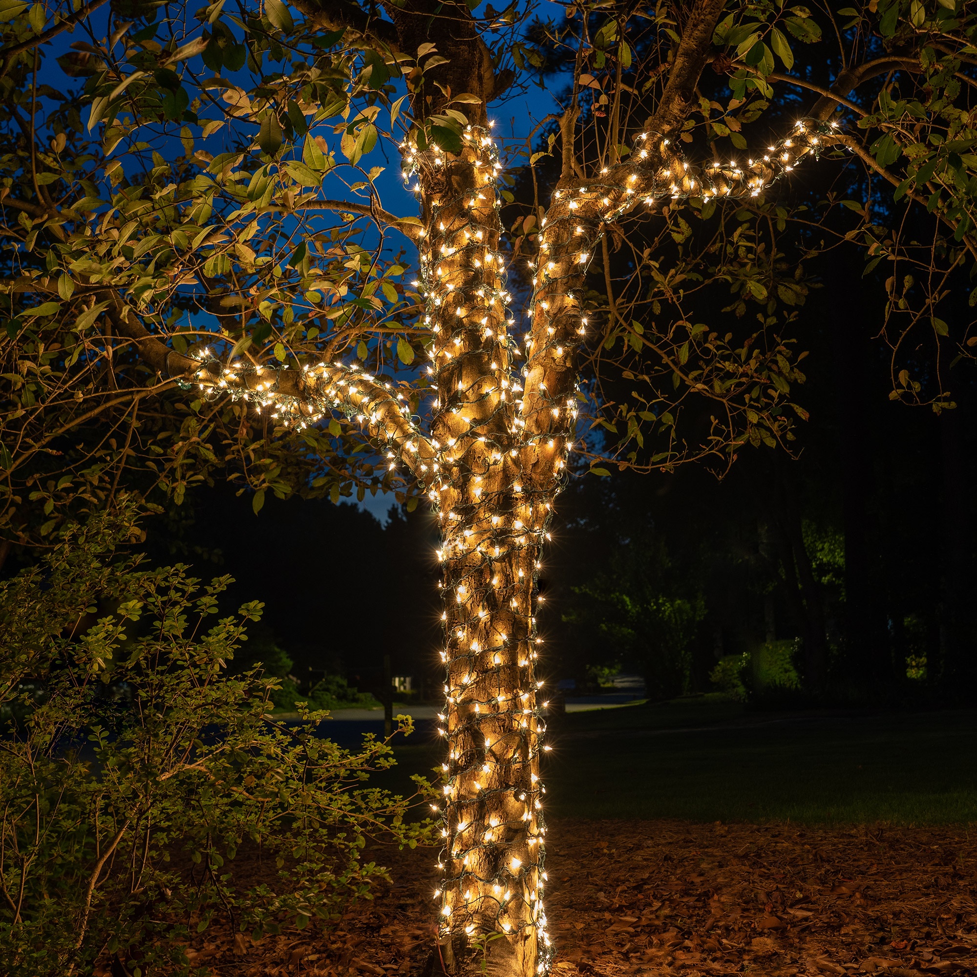 Tree Trunk Lights 