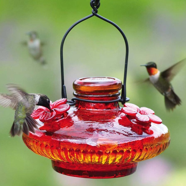 Hummingbird Feeders Sale - Yard Envy