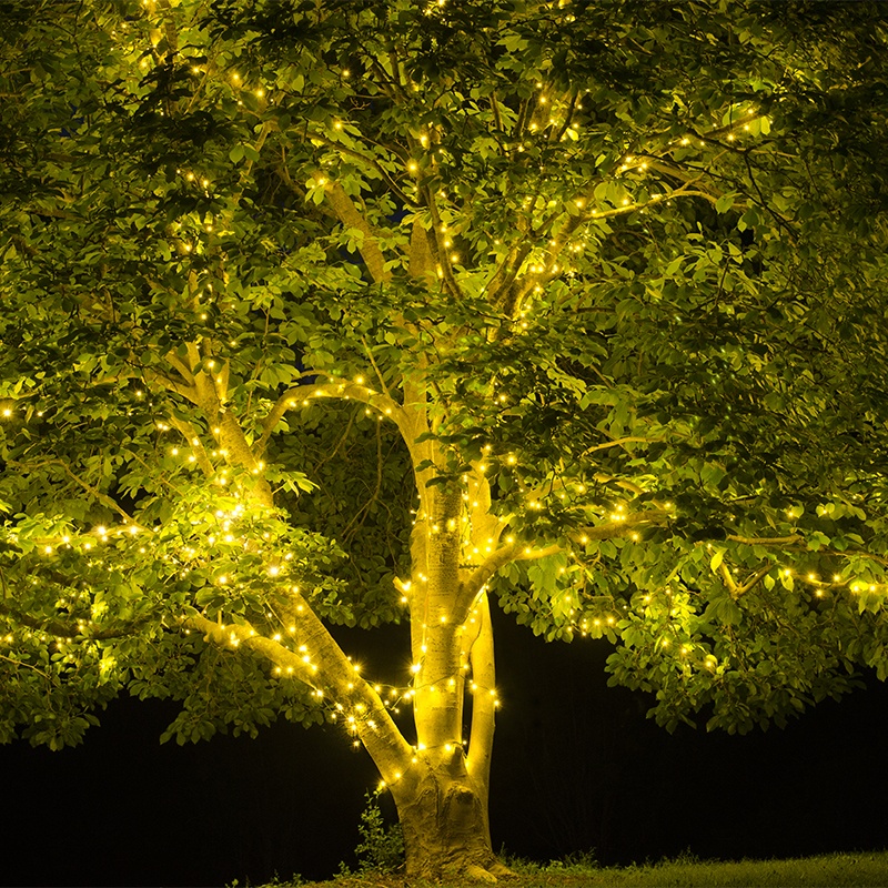 Tree Lights For Spring and Summer - Yard Envy