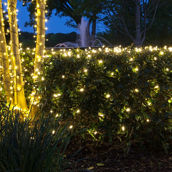 Net Lights - Yard Envy